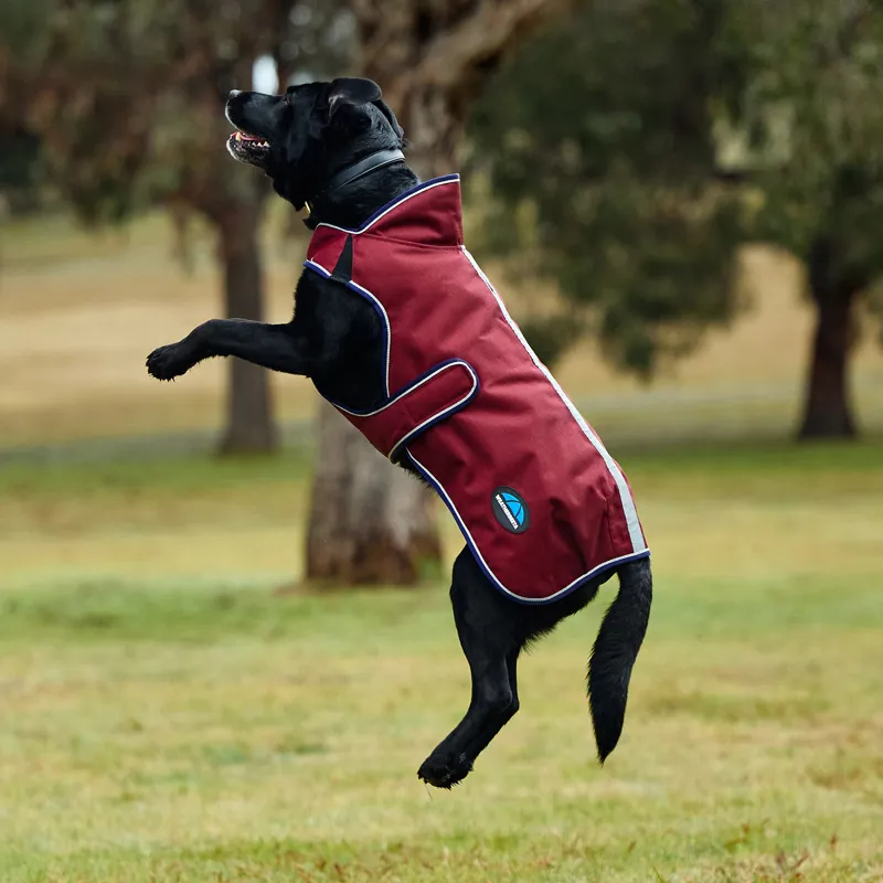 WeatherBeeta ComFiTec Premier Deluxe Waterproof Dog Coat - Burgundy-4