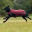 WeatherBeeta ComFiTec Premier Deluxe Waterproof Dog Coat - Burgundy