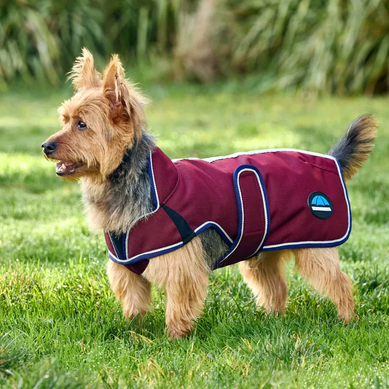 WeatherBeeta ComFiTec Premier Deluxe Waterproof Dog Coat - Burgundy-2