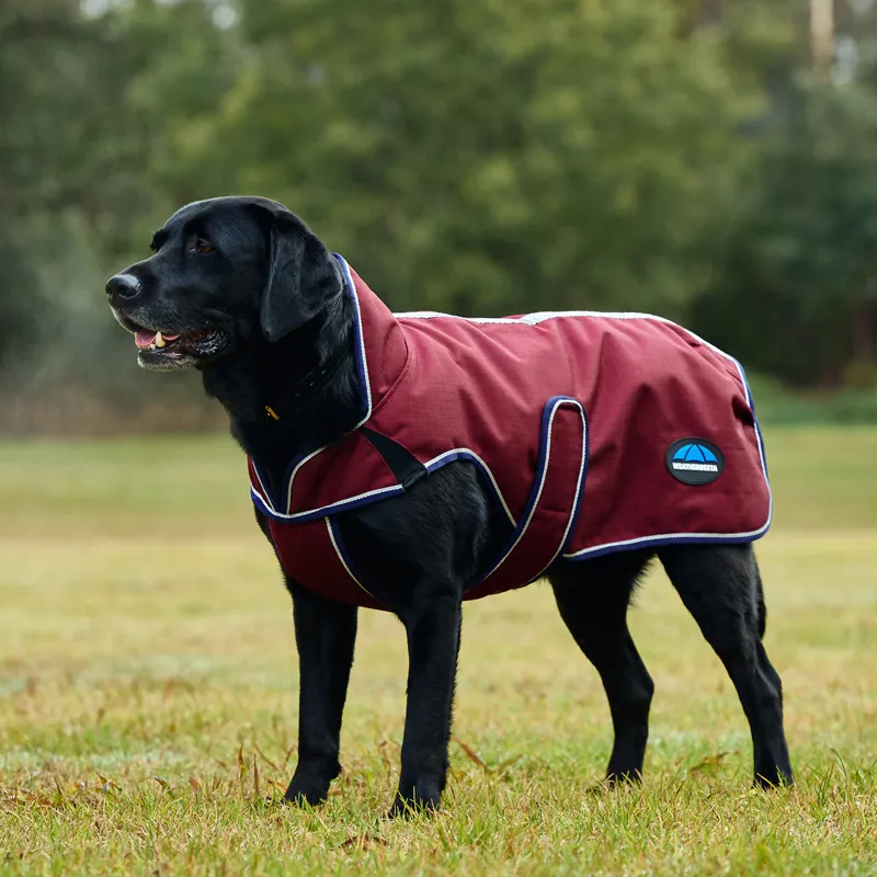 WeatherBeeta ComFiTec Premier Deluxe Waterproof Dog Coat - Burgundy-1