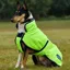 WeatherBeeta ComFiTec Reflective 300D Deluxe Dog Coat - Yellow