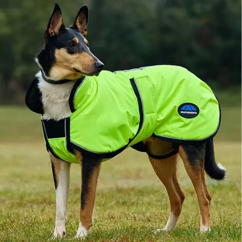 WeatherBeeta ComFiTec Reflective 300D Deluxe Dog Coat - Yellow-1
