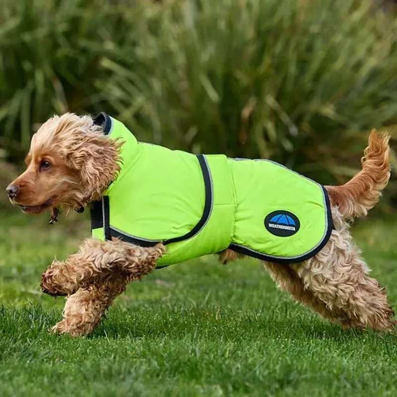 WeatherBeeta ComFiTec Reflective 300D Deluxe Dog Coat - Yellow-3