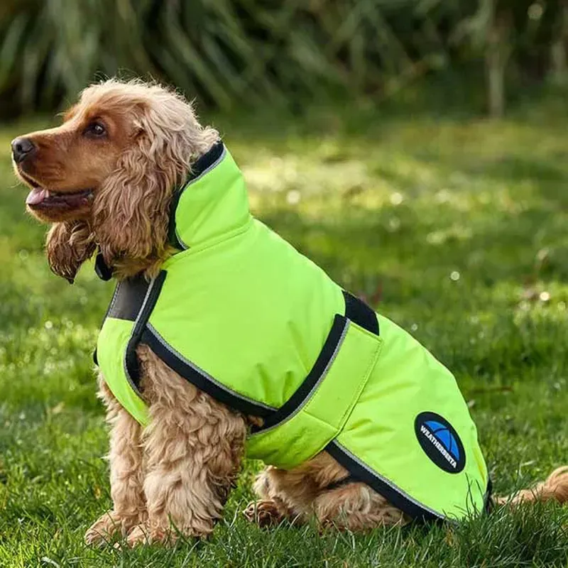 WeatherBeeta ComFiTec Reflective 300D Deluxe Dog Coat - Yellow-4