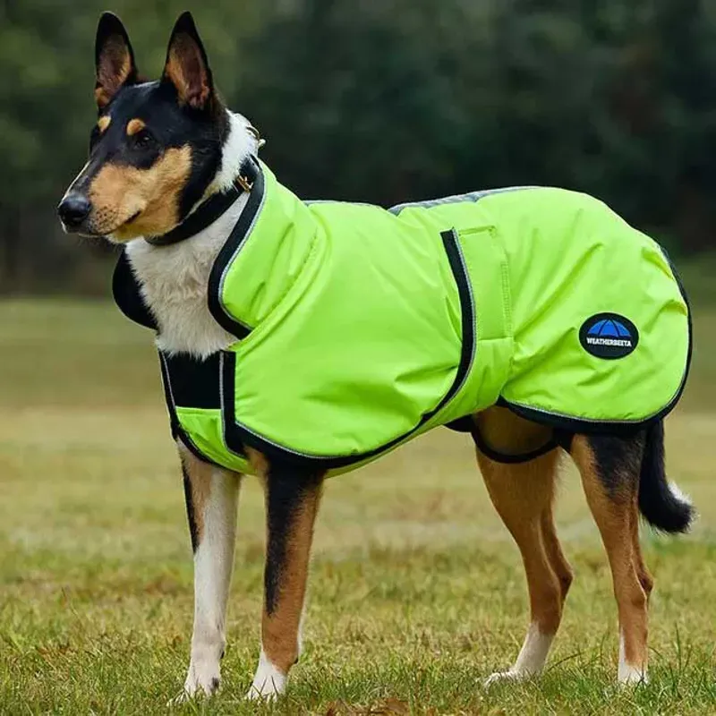 WeatherBeeta ComFiTec Reflective 300D Deluxe Dog Coat - Yellow-5