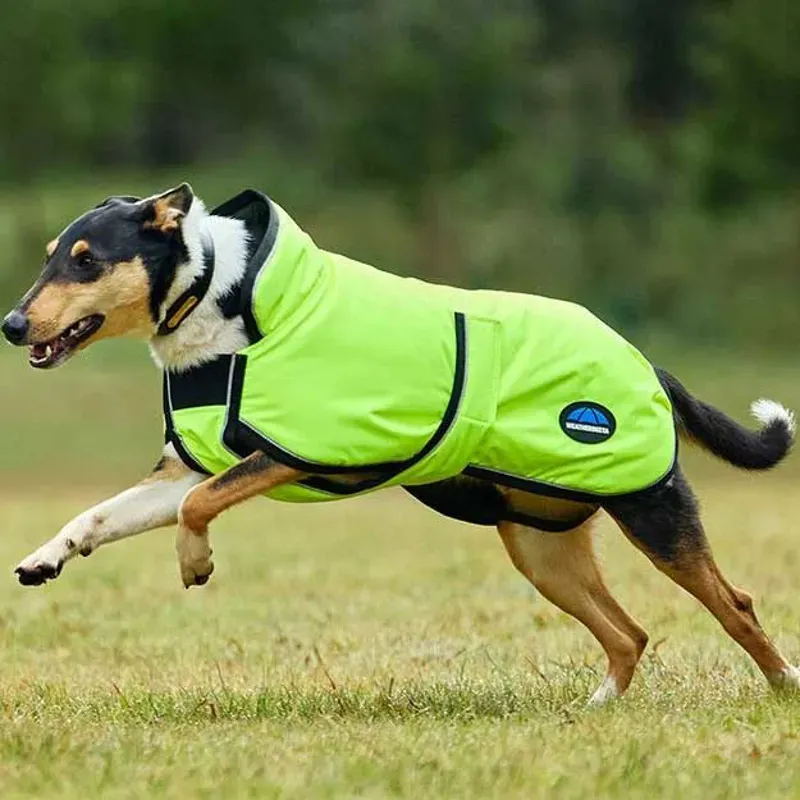 WeatherBeeta ComFiTec Reflective 300D Deluxe Dog Coat - Yellow-6