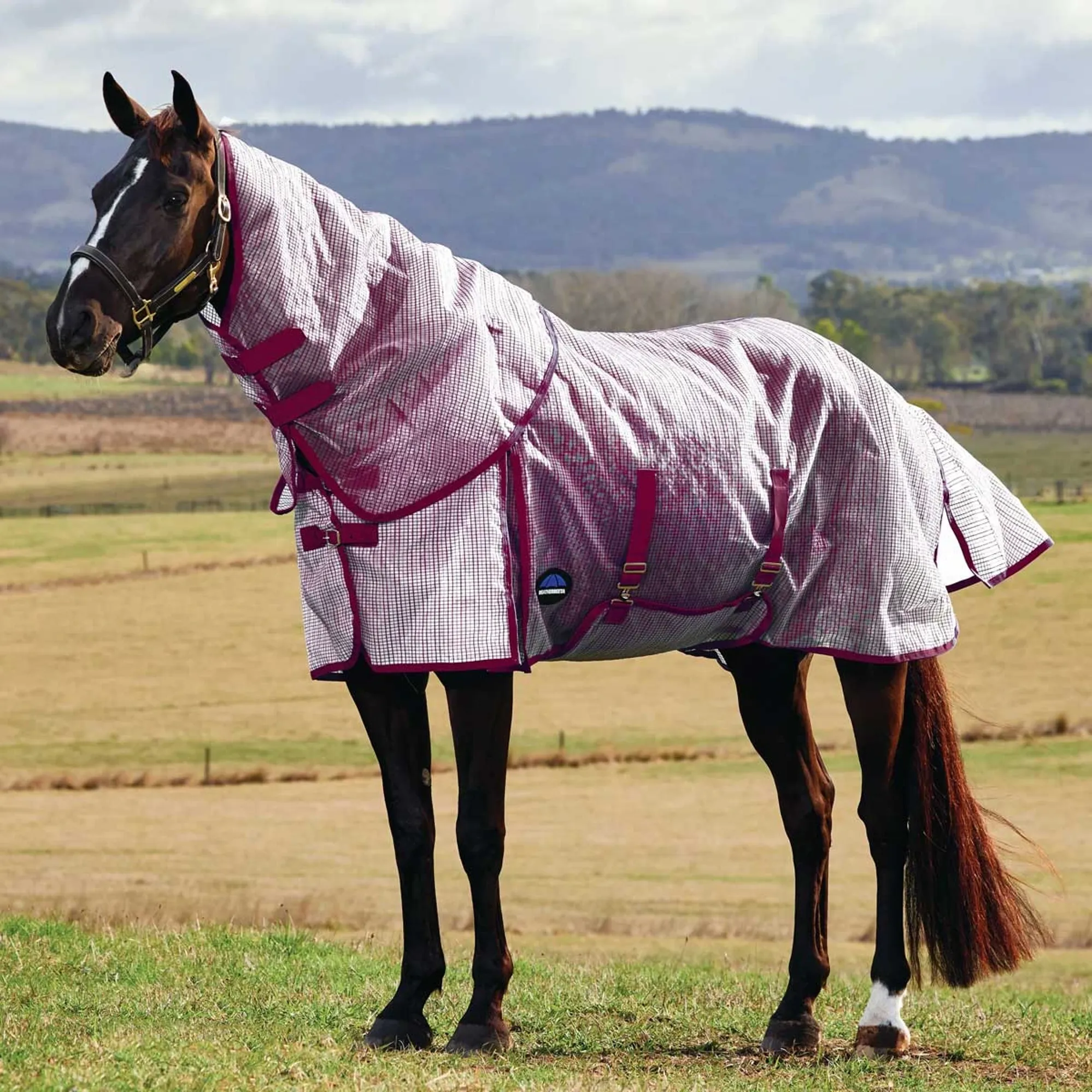 Fly Rug Weatherbeeta WeatherBeeta ComFiTec Ripshield Plus Fly Rug - White/Burgun
