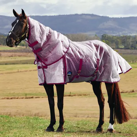 WEATHERBEETA RIPSHIELD PLUS DETACH NECK FLY SHEET - Bony Pony WEATHERBEETA RIPSHIELD PLUS DETACH NECK FLY SHEET - Bony Pony