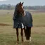 WeatherBeeta ComFiTec Ultra 100g Detach-A-Neck Turnout Rug - Charcoal