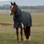 WeatherBeeta ComFiTec Ultra 220g Detach-A-Neck Turnout Rug - Charcoal