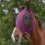 WeatherBeeta Deluxe Stretch Bug Eye Saver with Ears Fly Mask - Purple