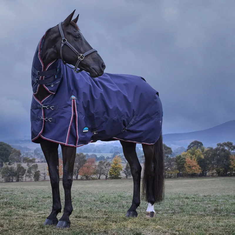 WeatherBeeta ComFiTec Essential 220g Combo Turnout Rug - Navy/Burgundy-4