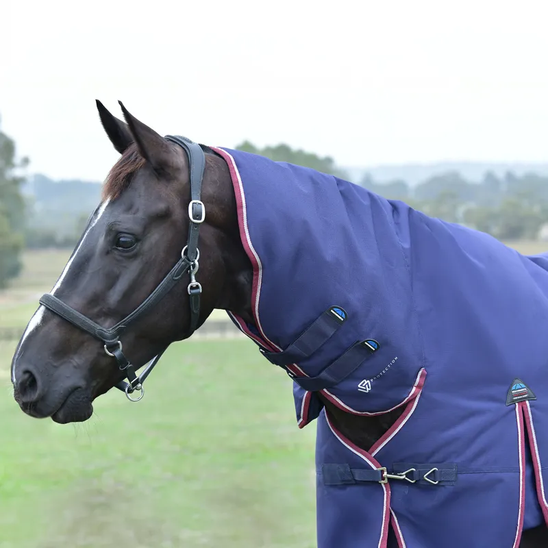 WeatherBeeta ComFiTec Essential 360g Combo Turnout Rug - Navy/Burgundy-8
