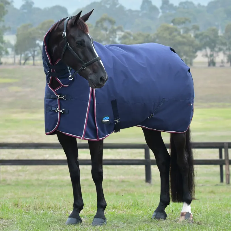 WeatherBeeta ComFiTec Essential 360g Combo Turnout Rug - Navy/Burgundy-2