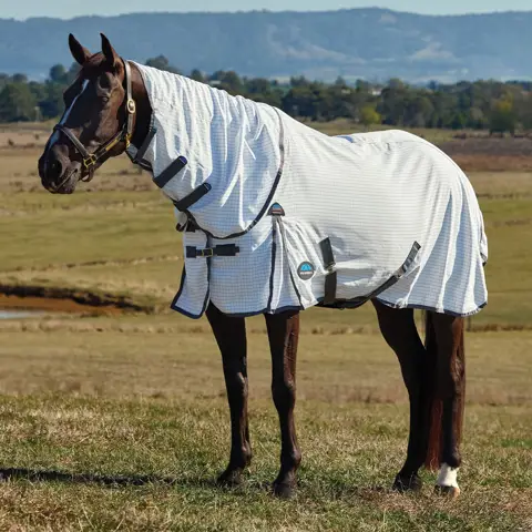WeatherBeeta ComFiTec Zephyr Plus Mesh Combo Neck Fly Sheet | WRS WeatherBeeta ComFiTec Zephyr Plus Mesh Combo Neck Fly Sheet | WRS
