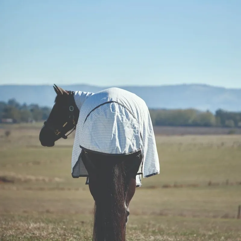 WeatherBeeta Hybrid Combo Neck Fly Sheet - White/Charcoal-5
