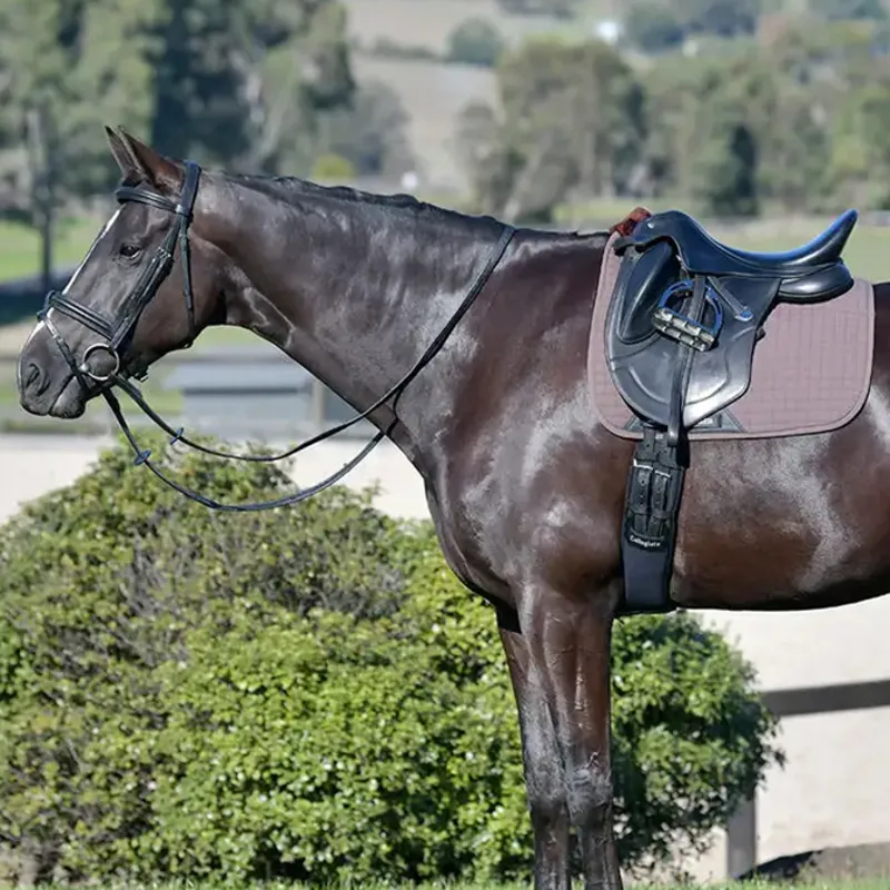 Weatherbeeta Prime Comfy Fleece Dressage Saddlecloth - Brown-1