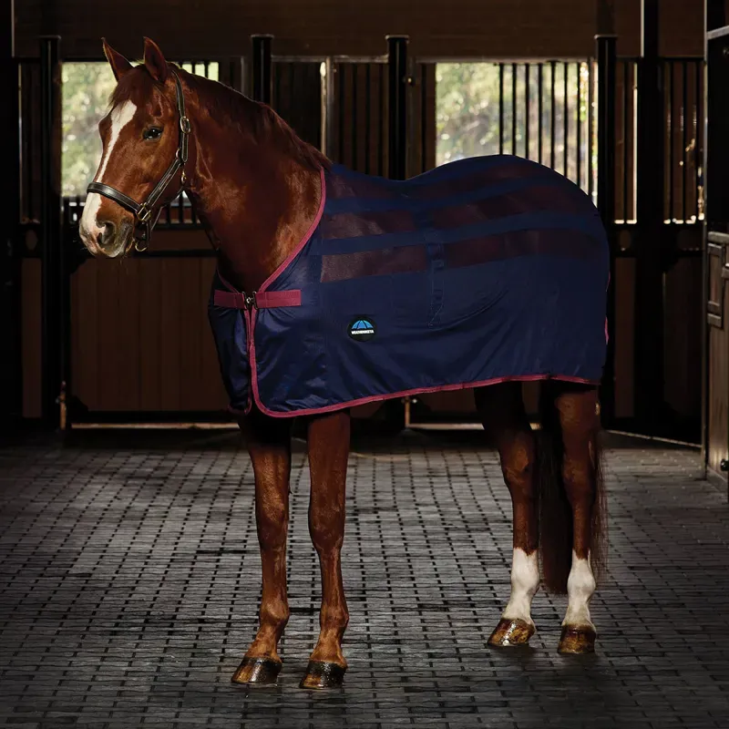 Weatherbeeta Scrim Cooler Mesh Rug - Navy/Burgundy