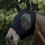 WeatherBeeta Stretch Bug Eye Saver with Ears Fly Mask - Black/Black