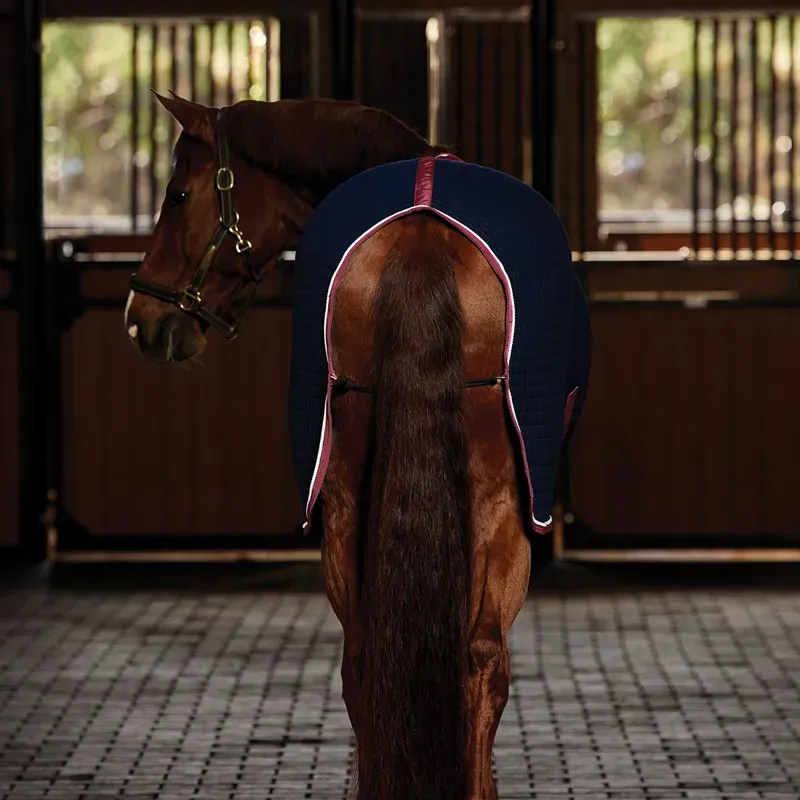 WeatherBeeta Thermocell Standard Neck Cooler Rug - Navy/Burgundy-1