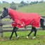 WeatherBeeta ComFiTec Classic 0g Combo Neck Turnout - Red/Silver/Navy