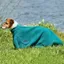WeatherBeeta ComFiTec Dry Dog Bag - Hunter Green