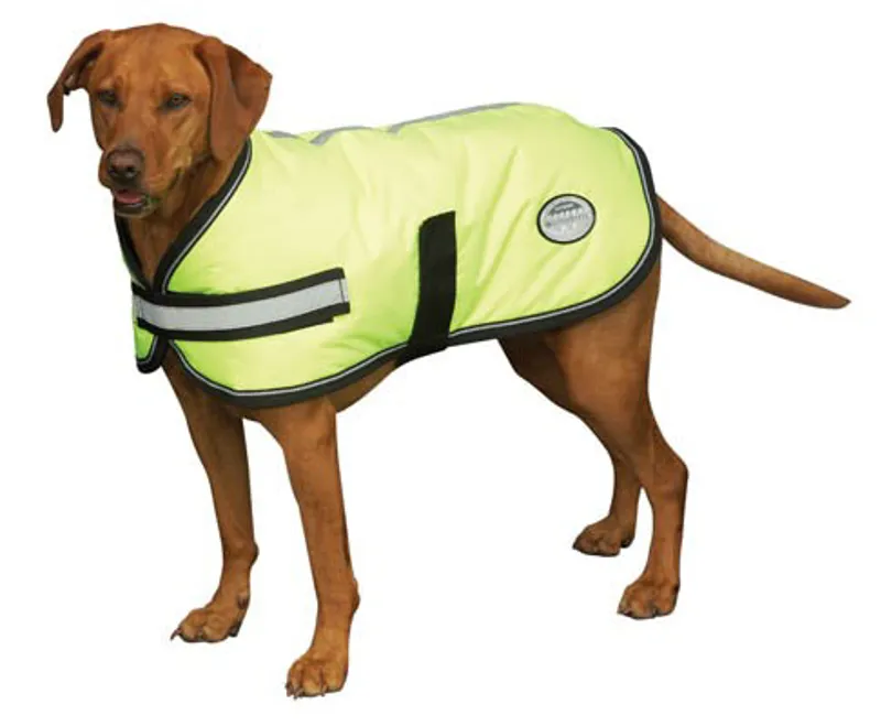 Weatherbeeta Parka Dog Coat - Fluorescent Yellow-1