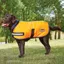Weatherbeeta Parka Dog Coat - Fluorescent Orange