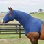 WeatherBeeta Lycra Stretch Hood With Zip - Navy