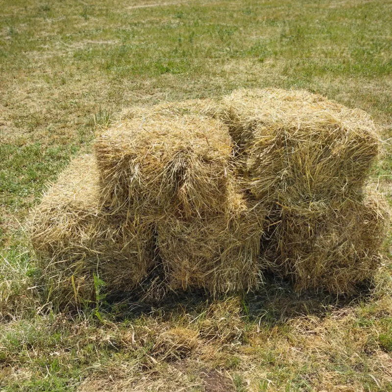Whitehouse Farm Small Hay Bale
