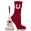 Wild Feet Junior Gift Box Socks 2 Pack - Horseshoe