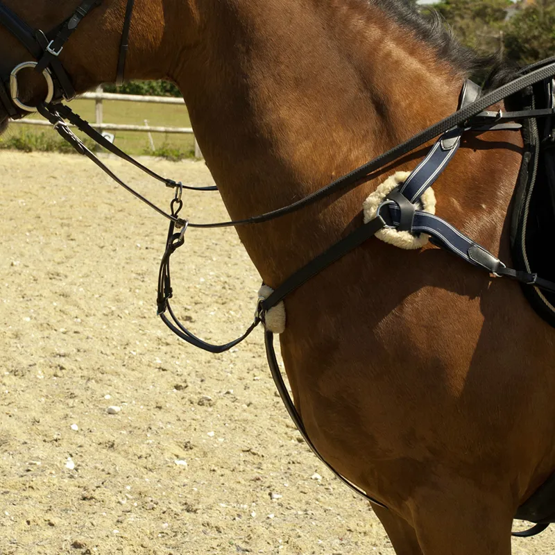 Windsor Leather Five Point Breastplate - Havana