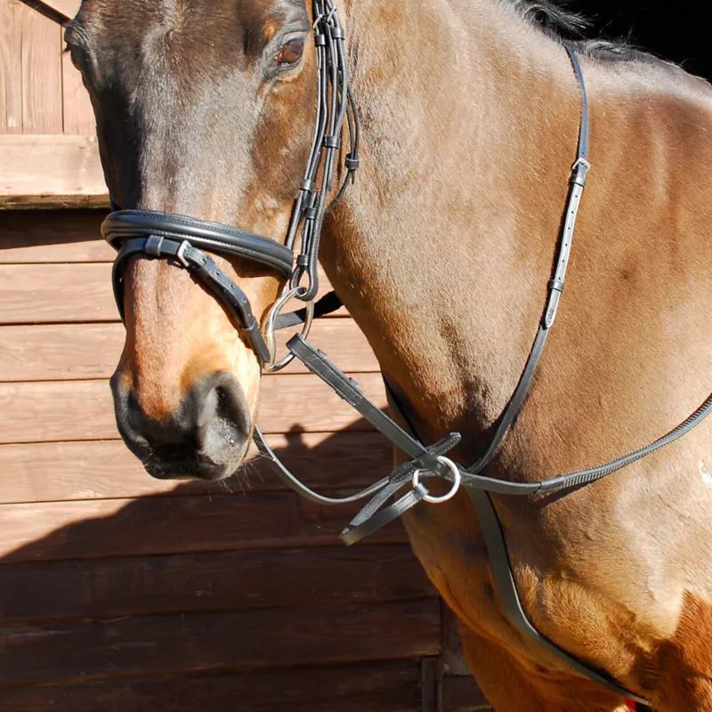 Windsor Running Martingale - Black