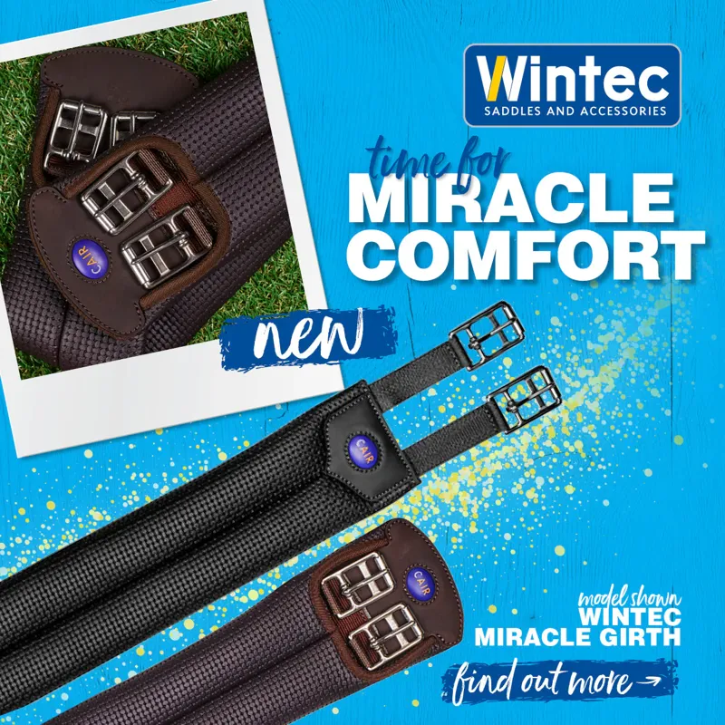 Wintec Miracle Short Girth - Black-1