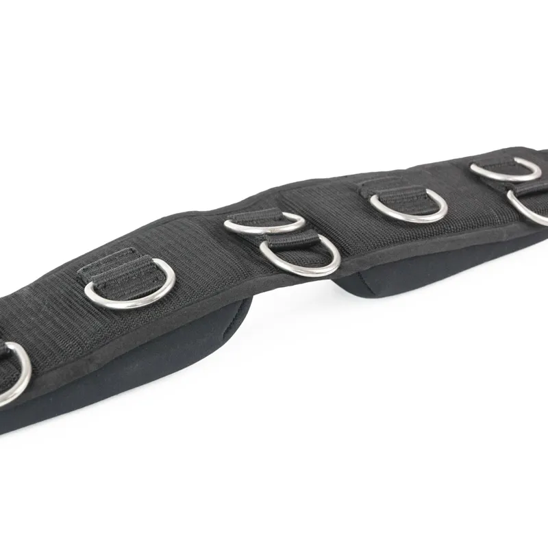 Wolseley Lunge Roller - Black-1