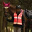 Woof Wear Adults LED HiViz Riding Vest - Pink