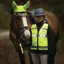 Woof Wear Adults LED HiViz Riding Vest - Yellow 