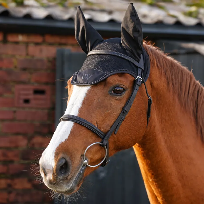 Woof Wear Classic Fly Veil - Black/Black-1