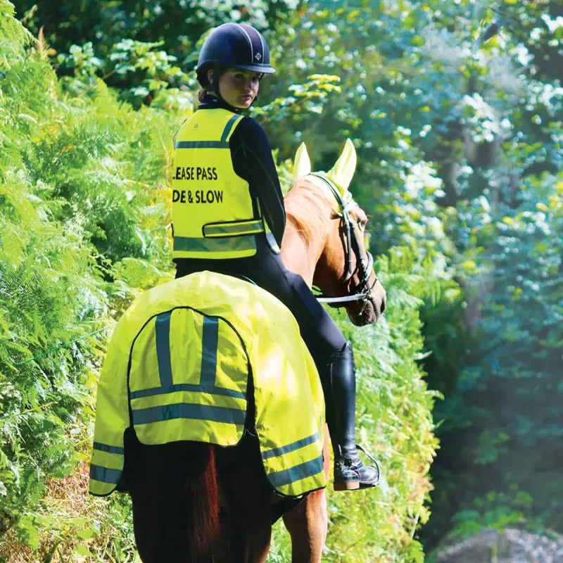 Woof Wear Hi Vis Exercise Sheet - Yellow-1