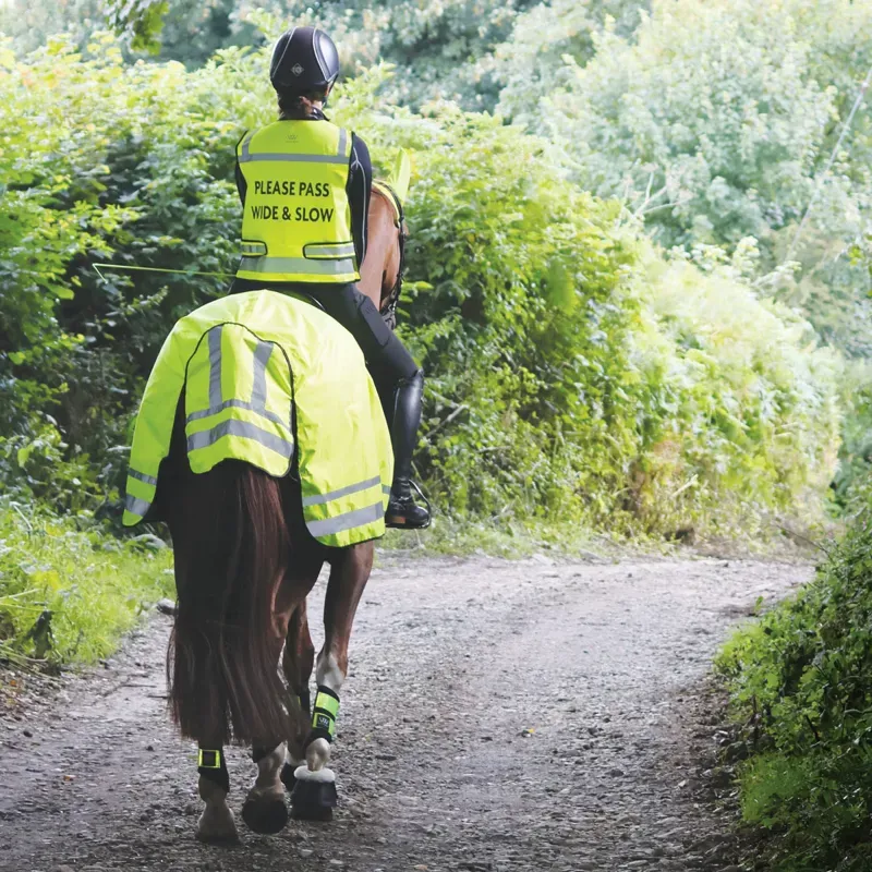 Woof Wear Hi Vis Exercise Sheet - Yellow-2