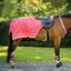 Woof Wear Hi Vis Winter Exercise Sheet - Pink