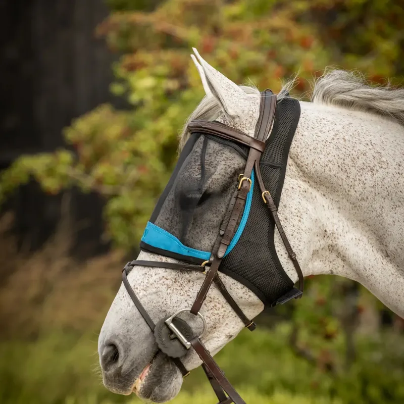 Woof Wear Ride-On Fly Mask - Black/Turquoise-1