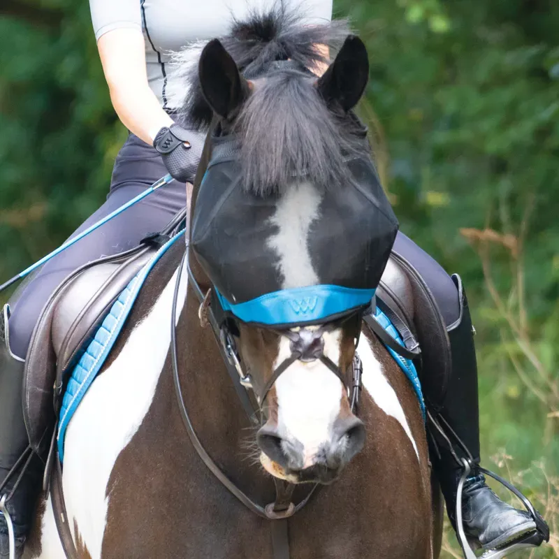 Woof Wear Ride-On Fly Mask - Black/Turquoise-4