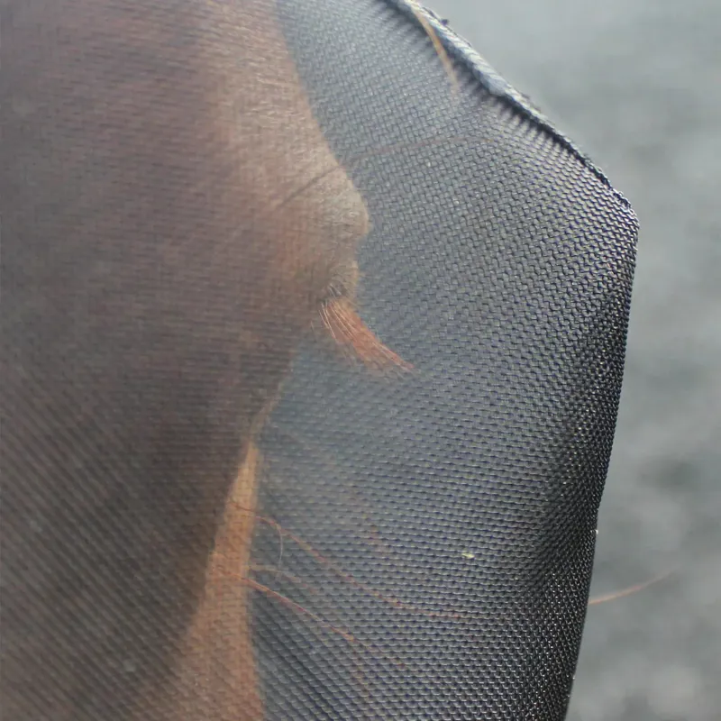 Woof Wear UV Fly Mask Without Ears - Black and Turquoise-2