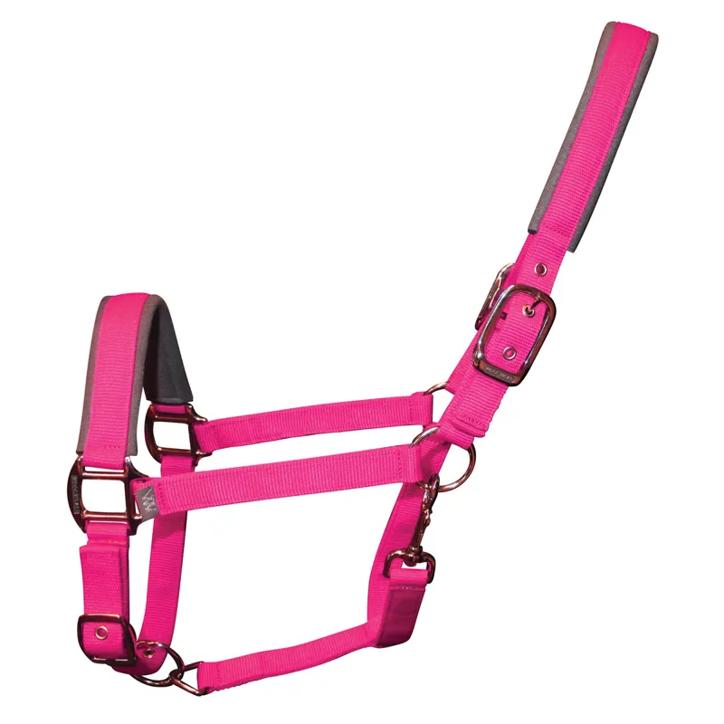 Woof Wear Contour Headcollar - Berry - Pony