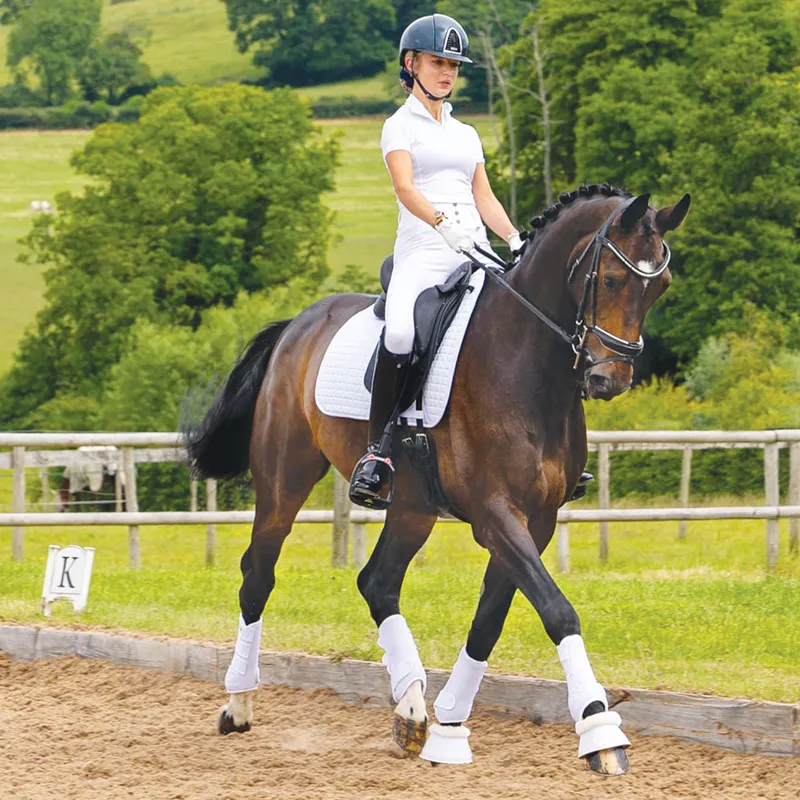 Woof Wear Competition Full Grip Ladies Riding Tights - White-6