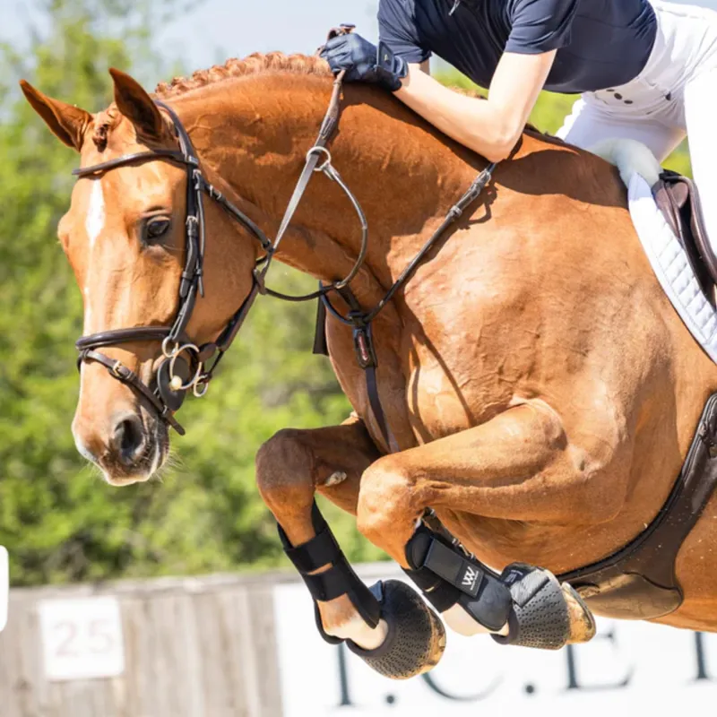 Woof Wear Pro Tendon Boots - Black-4