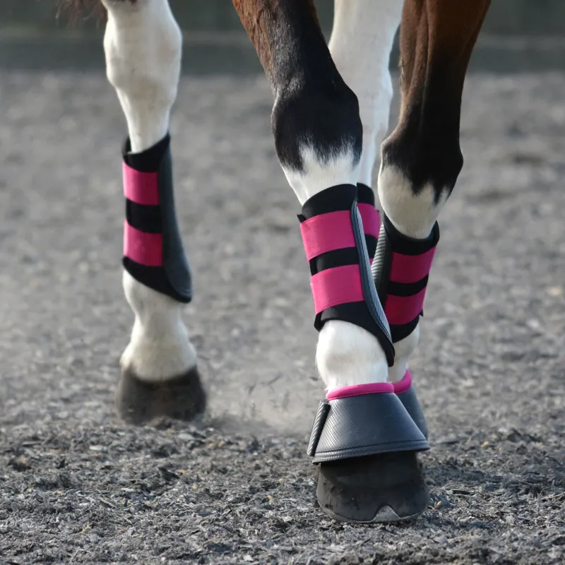 Woof Wear Club Brushing Boots - Black/Berry-1