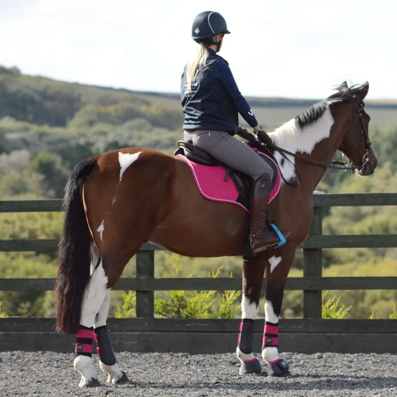 Woof Wear Club Brushing Boots - Black/Berry-3