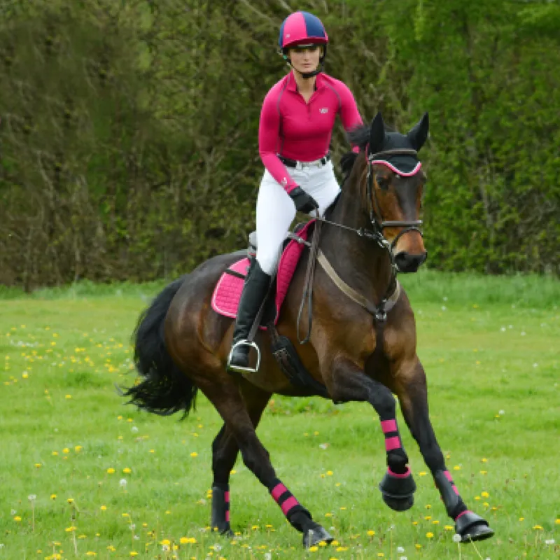 Woof Wear Club Brushing Boots - Black/Berry-5